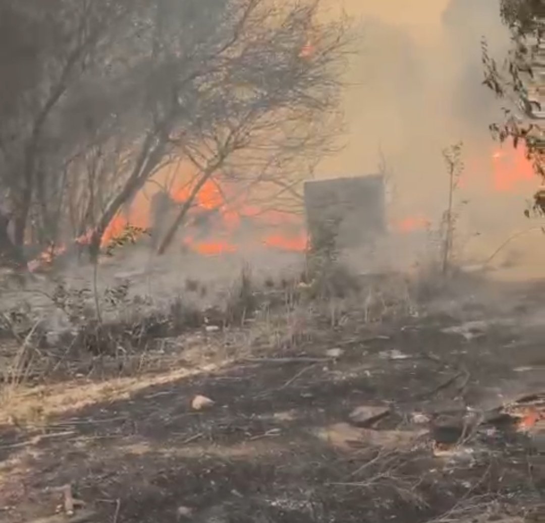 תמונה עבור בעקבות האובך, השריפות ומזג האויר הקיצוני – המלצות חשובות לציבור