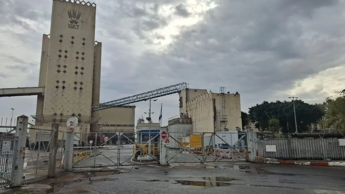 תמונה עבור איגוד יבואני התבואות: המצב היום בנמלים בלתי נסבל